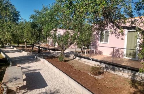 Bitetto Hotel | Pet-Friendly B & B Dei Nobili with Breakfast Included