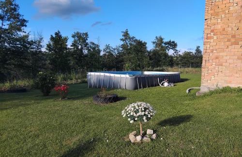 Zocca Bed & Breakfast | Idyllic B&B del Fernè: Oceanfront Stay with Pool & Pets