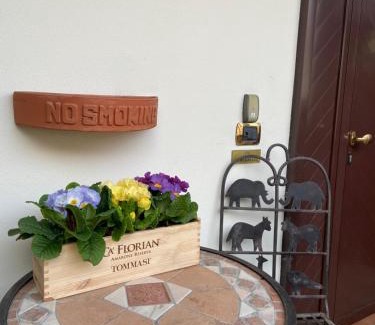 Ispra House | Pet-Friendly B&B del Lago with Breakfast and Great Reviews