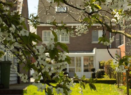 Moorsel Bed & Breakfast | Delightful B&B Den Boomgaard Moorsel with Breakfast & More