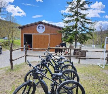 Bardi Bed & Breakfast | Guest Rated 9/10 at B&B Nuala Horse And Bike Experience