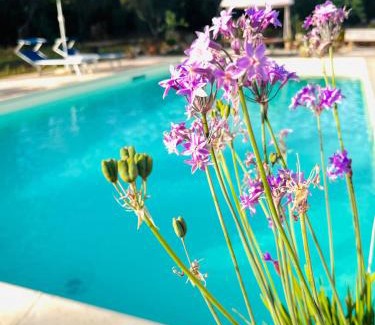 Parabita Bed & Breakfast | Unforgettable Stay at B&B DOÑA FLOR with Ocean Views