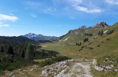 Sagron Mis Bed & Breakfast | Family-Friendly B&B DOLOMIA with 9/10 Guest Ratings