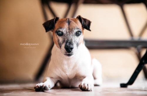 Muravera Bed & Breakfast | Guest Rated: 10/10 at B&B DOMU INCANTO - Pet Friendly Stay