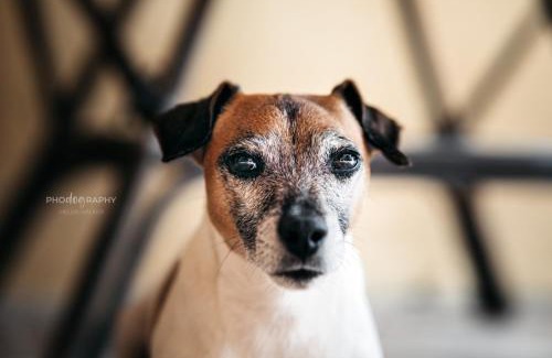 Muravera Bed & Breakfast | Guest Rated: 10/10 at B&B DOMU INCANTO - Pet Friendly Stay