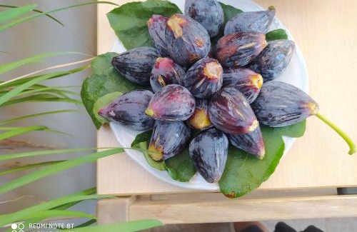 Sarroch Bed & Breakfast | Coastal Escape at B&B Domu Mea with Oceanfront Views