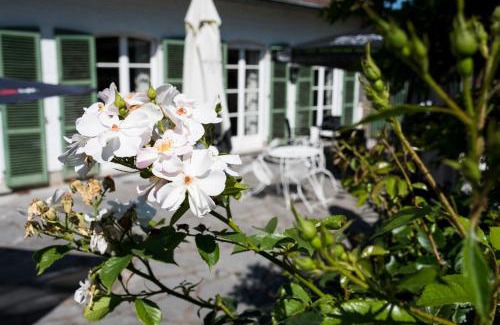 Ecaussinnes-dʼEnghien Bed & Breakfast | Cozy B&B El Tyu: Family-Friendly with Kitchen Access