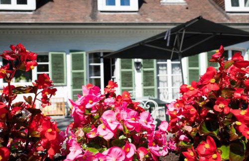 Ecaussinnes-dʼEnghien Bed & Breakfast | Cozy B&B El Tyu: Family-Friendly with Kitchen Access
