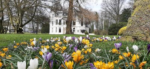 Terwolde Bed & Breakfast | Serene B&B at SPA Landgoed Matanze with Hot Tub & Dining