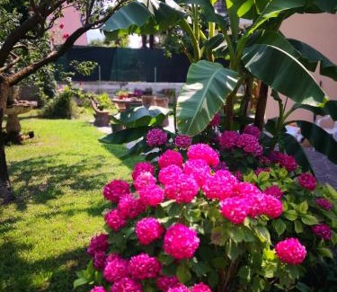 Bolognano-Vignole Bed & Breakfast | Guest Rated: B&B Esmeralda - Pet & Child Friendly Retreat