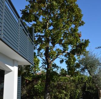 Moniga del Garda Bed & Breakfast | Experience 4-Star Bliss at B&B Fior di Magnolia