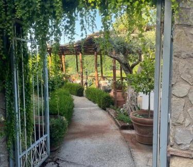 Campinola Bed & Breakfast | Oceanfront B&B Fior Tramonti - Rated 8.9/10 by Guests