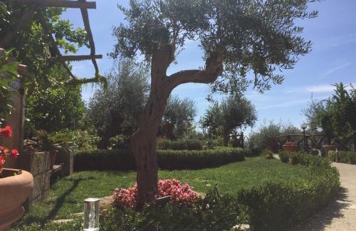Campinola Bed & Breakfast | Oceanfront B&B Fior Tramonti - Rated 8.9/10 by Guests
