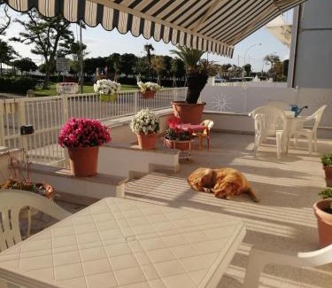 Porto San Giorgio Bed & Breakfast | Oceanfront B&B Galletto: Rated 8.9 with Pet-Friendly Perks
