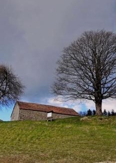 Bruscoli Bed & Breakfast | Top-Rated B & B Giu & Dany: Family and Pet Friendly Stay