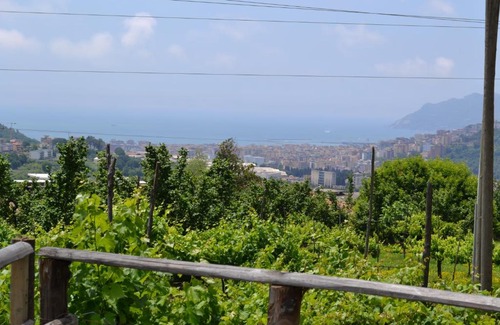 Ogliara Bed & Breakfast | Relax at b&b Green Valley - Child-Friendly Retreat