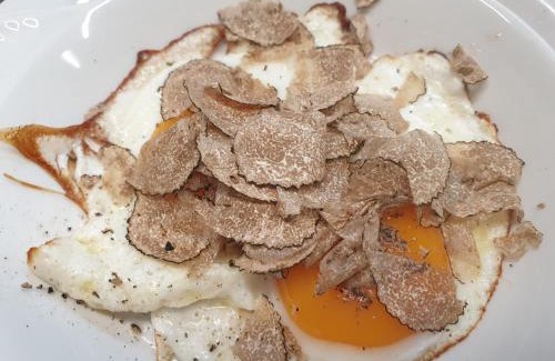 Monte San Pietro Bed & Breakfast | Bright B&B Guardastelle: Family-Friendly & Highly Rated 9/10