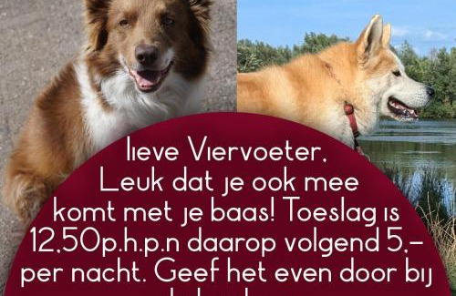Overasselt Bed & Breakfast | Discover B&B Het Gelders Buitenleven: Pet Friendly Retreat