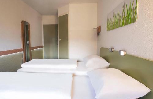 Holm Hotel | Pet-Friendly ibis budget Flensburg City for Your Family Stay