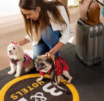 Sao Jose dos Campos Hotel | Pet-Friendly B&B HOTEL São José dos Campos with Spa & Dining