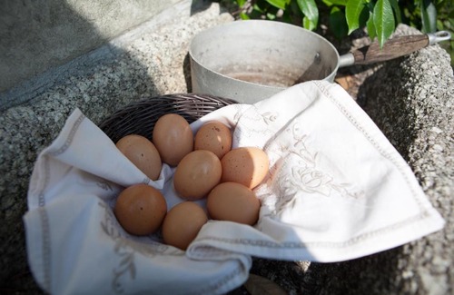 Mergozzo Bed & Breakfast | Relaxing Oceanfront Getaway at B&B I Corni di Nibbio