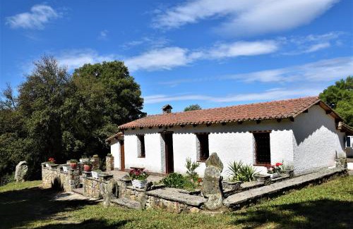 Sorgono Bed & Breakfast | Top-Rated B&B I Menhir: Family and Pet Friendly Stay