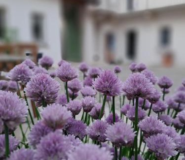Soriso Bed & Breakfast | Top-Rated B&B Il Cortile: Family-Friendly Retreat