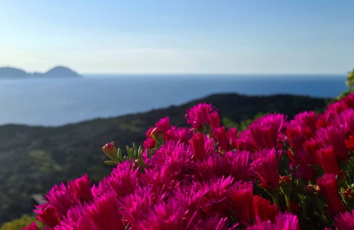 Ponza Bed & Breakfast | B&B Il Gabbiano camera matrimoniale 01