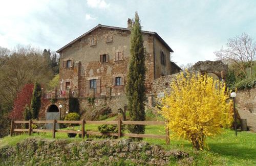 Vejano Bed & Breakfast | Discover B&B IL Giardino del Borgo: Pet-Friendly Escape
