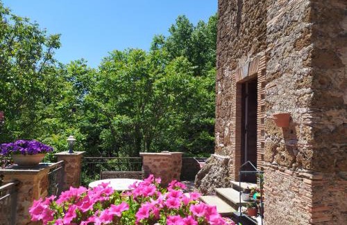Vejano Bed & Breakfast | Discover B&B IL Giardino del Borgo: Pet-Friendly Escape