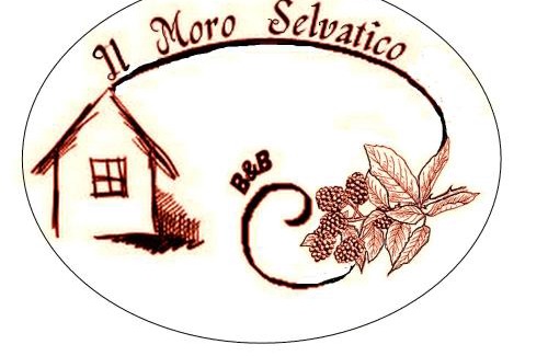 Poviglio Bed & Breakfast | Charming B&B Il Moro Selvatico: Top Rated & Family Friendly
