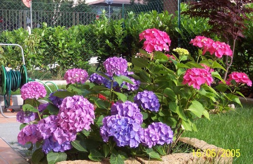 Lubiana Bed & Breakfast | Guest Rated: B&B Il Parco with Family-Friendly Amenities