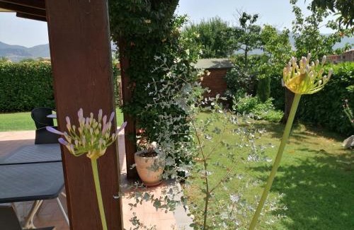 Padula Bed & Breakfast | Pet-Friendly B&B Il Tiglio with High Guest Ratings