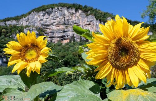 Lumignano Bed & Breakfast | Outstanding B&B in Valle with Hot Tub & Breakfast Included