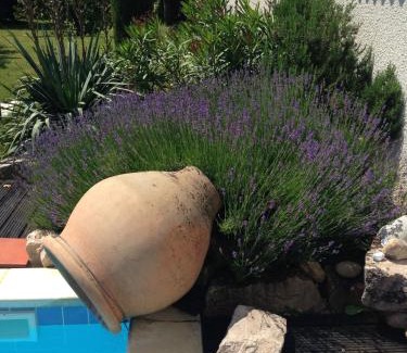 Pusignan Bed & Breakfast | Unique B&B Between Lyon and Airport with Pool & Ocean View