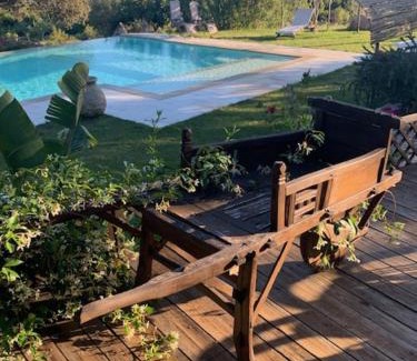 Aratena Bed & Breakfast | Discover B&B Isole di Pietra: 10/10 with Ocean Views