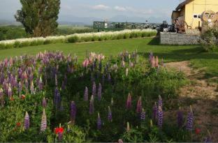 Biei House | Cozy Pension Ken&Mary with Oceanfront Dining & Views