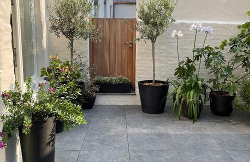Historical Center Bruges Bed & Breakfast | Experience B&B l'histoire de l'éclair with Pet-Friendly Comfort