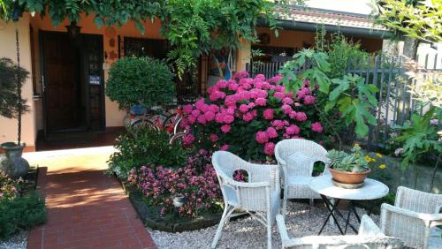 Grignano Bed & Breakfast | Pet-Friendly B&B L'Isola di Casa with Top Guest Ratings