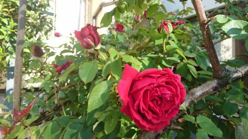 Sasso House | Oceanfront B&B La Betulla: Guest Rated 9.2/10