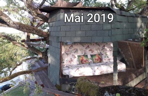 Mones Bed & Breakfast | Pet-Friendly B&B La Cabane Insolite with Oceanfront Views
