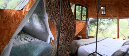Mones Bed & Breakfast | Pet-Friendly B&B La Cabane Insolite with Oceanfront Views