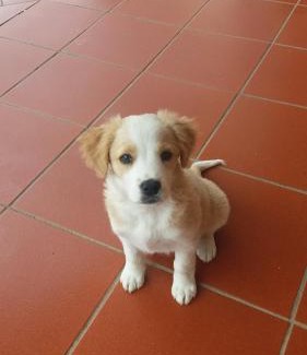 Amaseno House | Pet-Friendly B&B La Coccinella with Breakfast Included
