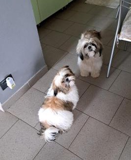 Ricco del Golfo di Spezia Bed & Breakfast | Pet Friendly B&B La Fontanella with Ocean View & Spa