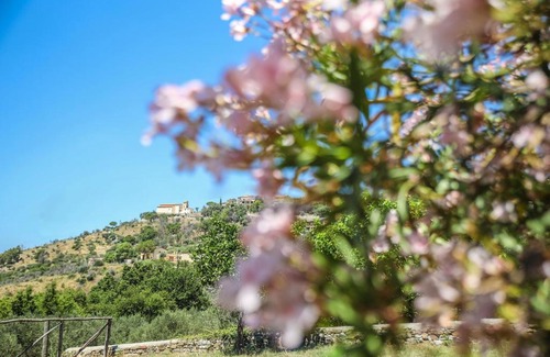 Torchiara Bed & Breakfast | Family-Friendly B&B La Residenza Torchiara Awaits You