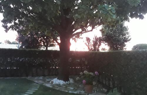 Maranello Bed & Breakfast | Guest Rated: B&B La Rosa Gialla with Pet-Friendly Amenities