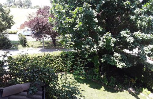 Maranello Bed & Breakfast | Guest Rated: B&B La Rosa Gialla with Pet-Friendly Amenities