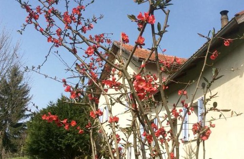 Acquasanta Bed & Breakfast | Discover B&B La Scellana: Pet-Friendly Retreat, 9/10 Rating