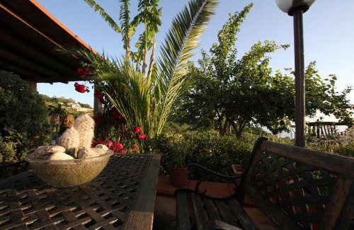 Diamante Bed & Breakfast | Cozy B&B la Sirenetta: Pet & Child Friendly Stay!