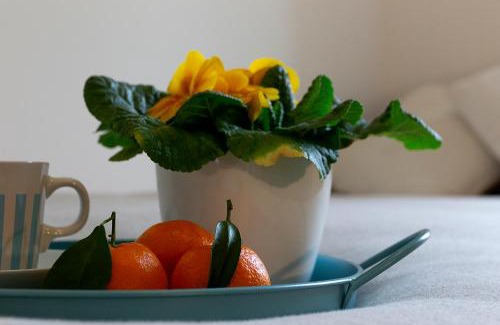 Acquabella Bed & Breakfast | Family-Friendly B&B La Terrazza di Barbara with 9.2 Rating